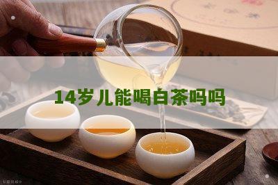 14岁儿能喝白茶吗吗