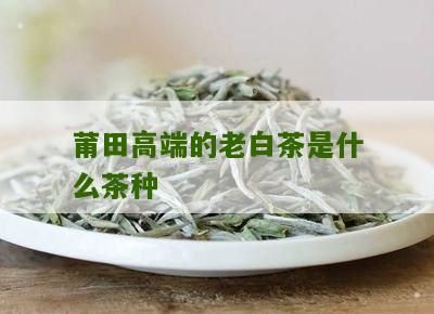 莆田高端的老白茶是什么茶种