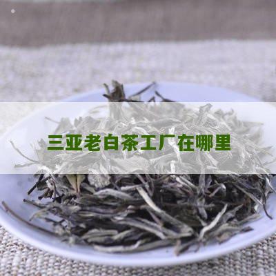 三亚老白茶工厂在哪里