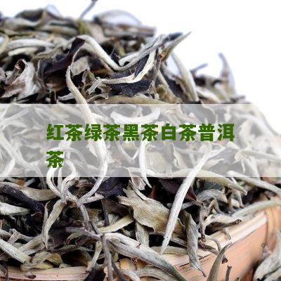 红茶绿茶黑茶白茶普洱茶