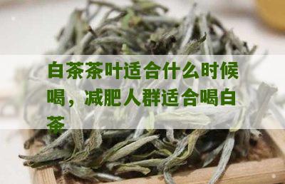 白茶茶叶适合什么时候喝，减肥人群适合喝白茶