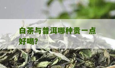 白茶与普洱哪种贵一点好喝？