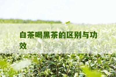 白茶喝黑茶的区别与功效