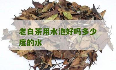 老白茶用水泡好吗多少度的水