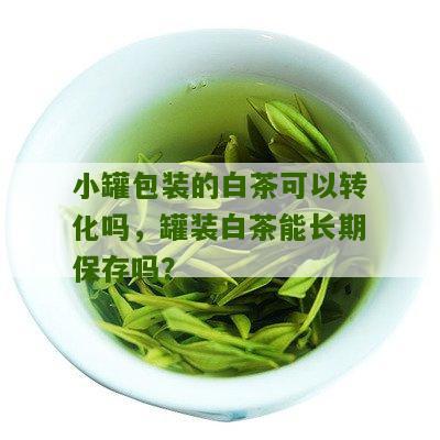 小罐包装的白茶可以转化吗，罐装白茶能长期保存吗？