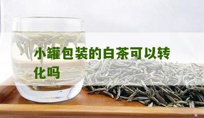 小罐包装的白茶可以转化吗