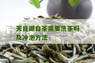 天目湖白茶需要洗茶吗及冲泡方法