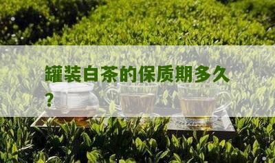 罐装白茶的保质期多久？