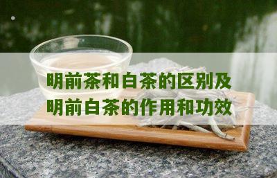 明前茶和白茶的区别及明前白茶的作用和功效