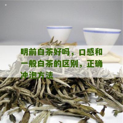 明前白茶好吗，口感和一般白茶的区别，正确冲泡方法