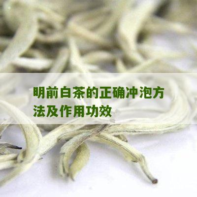 明前白茶的正确冲泡方法及作用功效