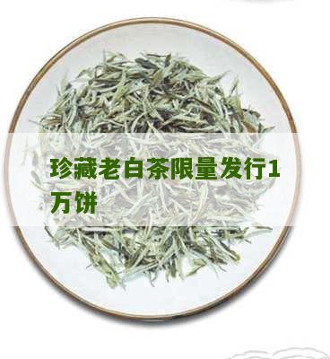 珍藏老白茶限量发行1万饼