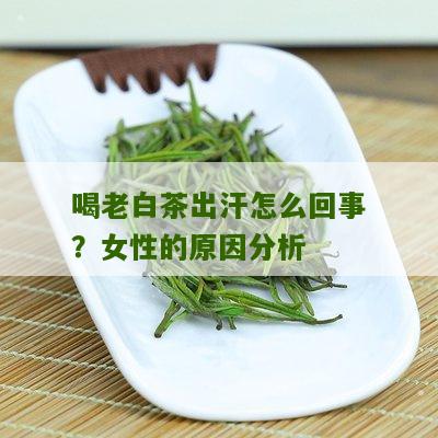 喝老白茶出汗怎么回事？女性的原因分析