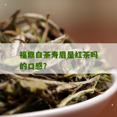 福鼎白茶寿眉是红茶吗的口感？