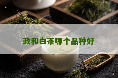 政和白茶哪个品种好