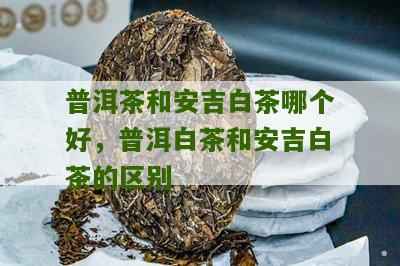 普洱茶和安吉白茶哪个好，普洱白茶和安吉白茶的区别