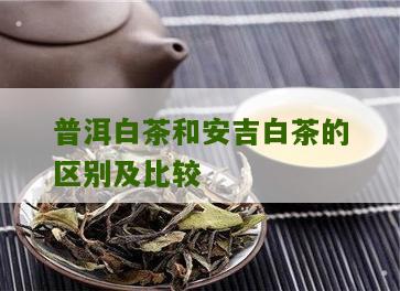 普洱白茶和安吉白茶的区别及比较