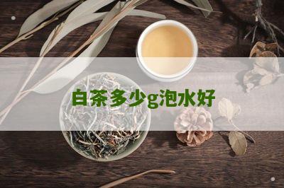 白茶多少g泡水好