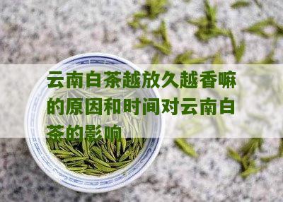 云南白茶越放久越香嘛的原因和时间对云南白茶的影响