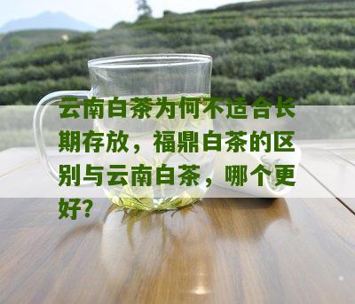 云南白茶为何不适合长期存放，福鼎白茶的区别与云南白茶，哪个更好？