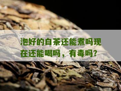 泡好的白茶还能煮吗现在还能喝吗，有毒吗？