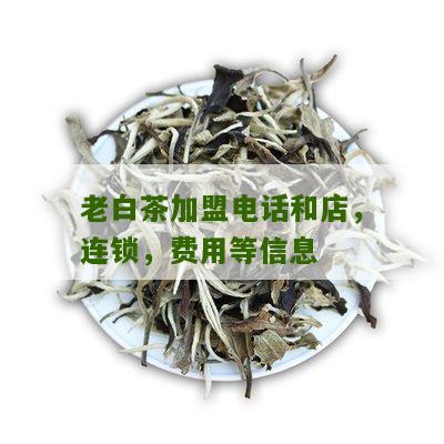 老白茶加盟电话和店，连锁，费用等信息