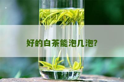 好的白茶能泡几泡？