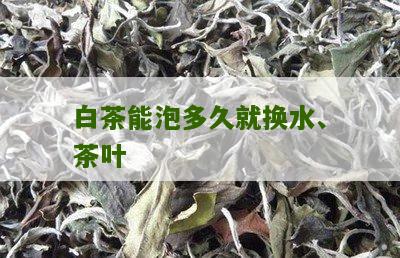 白茶能泡多久就换水、茶叶