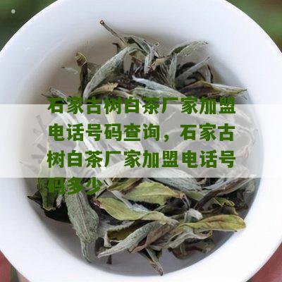 石家古树白茶厂家加盟电话号码查询，石家古树白茶厂家加盟电话号码多少