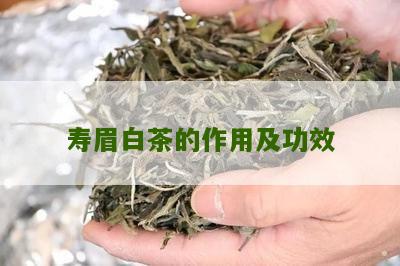 寿眉白茶的作用及功效