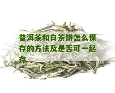 普洱茶和白茶饼怎么保存的方法及是否可一起存