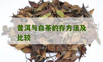 普洱与白茶的存方法及比较