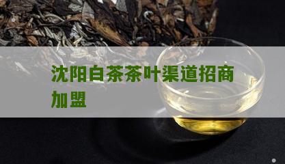 沈阳白茶茶叶渠道招商加盟