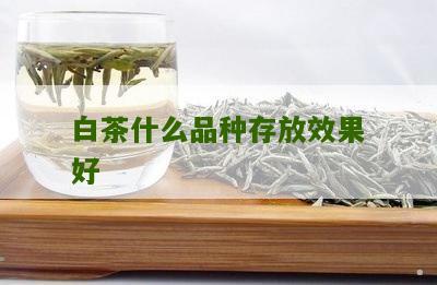 白茶什么品种存放效果好