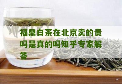 福鼎白茶在北京卖的贵吗是真的吗知乎专家解答