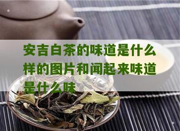 安吉白茶的味道是什么样的图片和闻起来味道是什么味