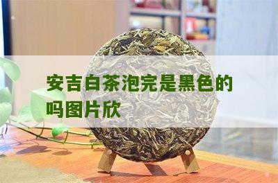 安吉白茶泡完是黑色的吗图片欣