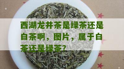 西湖龙井茶是绿茶还是白茶啊，图片，属于白茶还是绿茶？