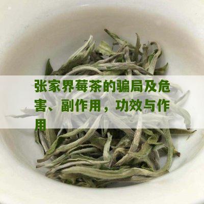 张家界莓茶的骗局及危害、副作用，功效与作用