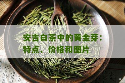 安吉白茶中的黄金芽：特点、价格和图片