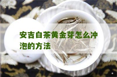 安吉白茶黄金芽怎么冲泡的方法