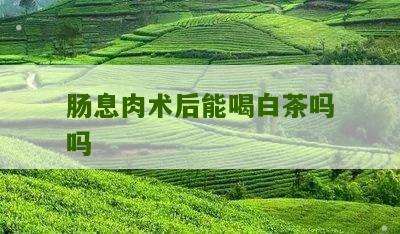 肠息肉术后能喝白茶吗吗