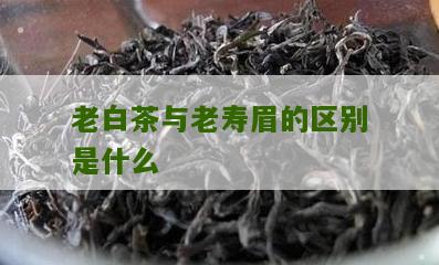 老白茶与老寿眉的区别是什么