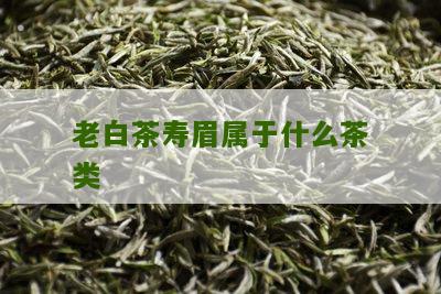 老白茶寿眉属于什么茶类