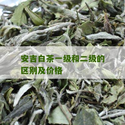 安吉白茶一级和二级的区别及价格