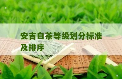 安吉白茶等级划分标准及排序