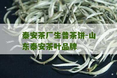 泰安茶厂生普茶饼-山东泰安茶叶品牌