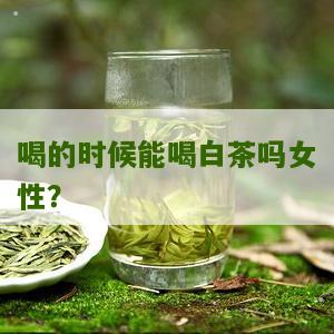 喝的时候能喝白茶吗女性？