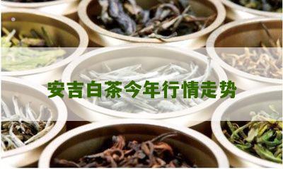 安吉白茶今年行情走势