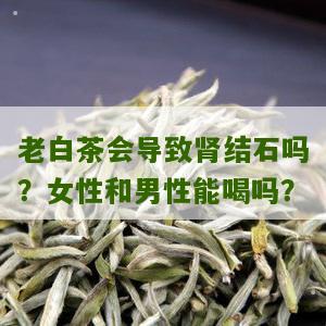 老白茶会导致肾结石吗？女性和男性能喝吗？